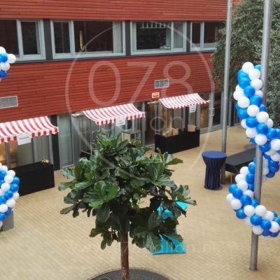 Welcome Day Britisch School the Netherlands (sept. 2016)