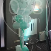 Bruiloft-ballondecoratie-01072016-06.jpg