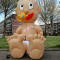 IMG20230421183711.jpg