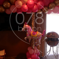 ballondecoratie-portfolio-19.jpg