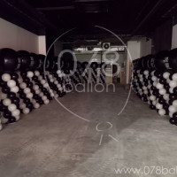 ballondecoratie-portfolio-30.jpg