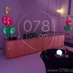 ballondecoratie-portfolio-32.jpg