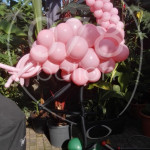 ballondecoratie-verjaardag-11.jpg