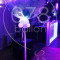 bruiloft-ballondecoratie-IMG_20170908_205744.jpg