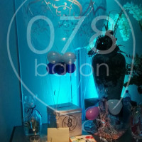 bruiloft-ballondecoratie-IMG_20170908_205830.jpg