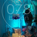 bruiloft-ballondecoratie-IMG_20170908_205830.jpg