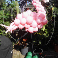 flamingo-ballondecoratie-IMG_20170827_101409.jpg