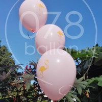 flamingo-ballondecoratie-IMG_20170827_105905.jpg