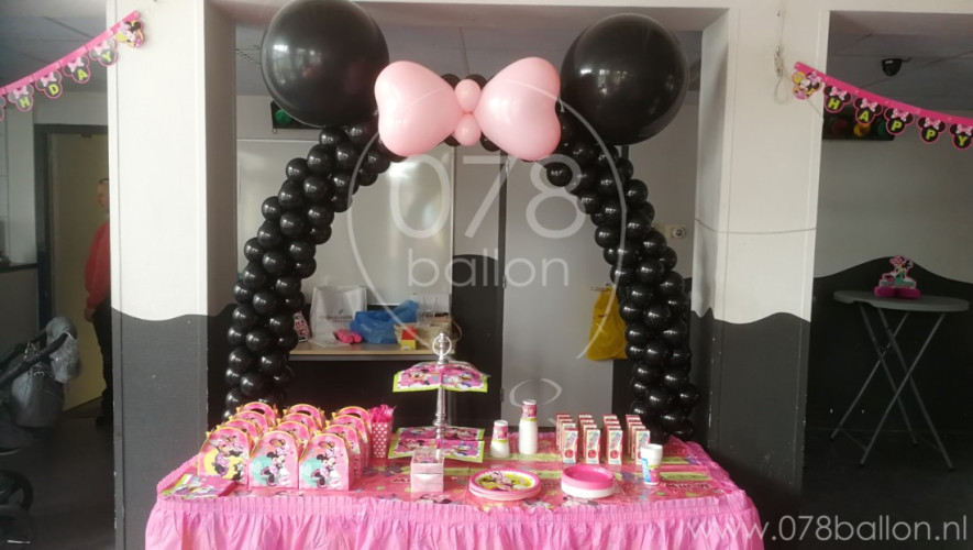Minney Mouse Kinderfeest (mrt. 2018)