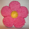 pinata-bloem.png