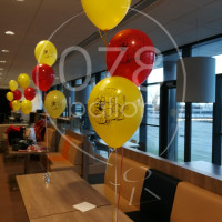 sinterklaas-ballondecoratie-IMG_20171124_161613.jpg